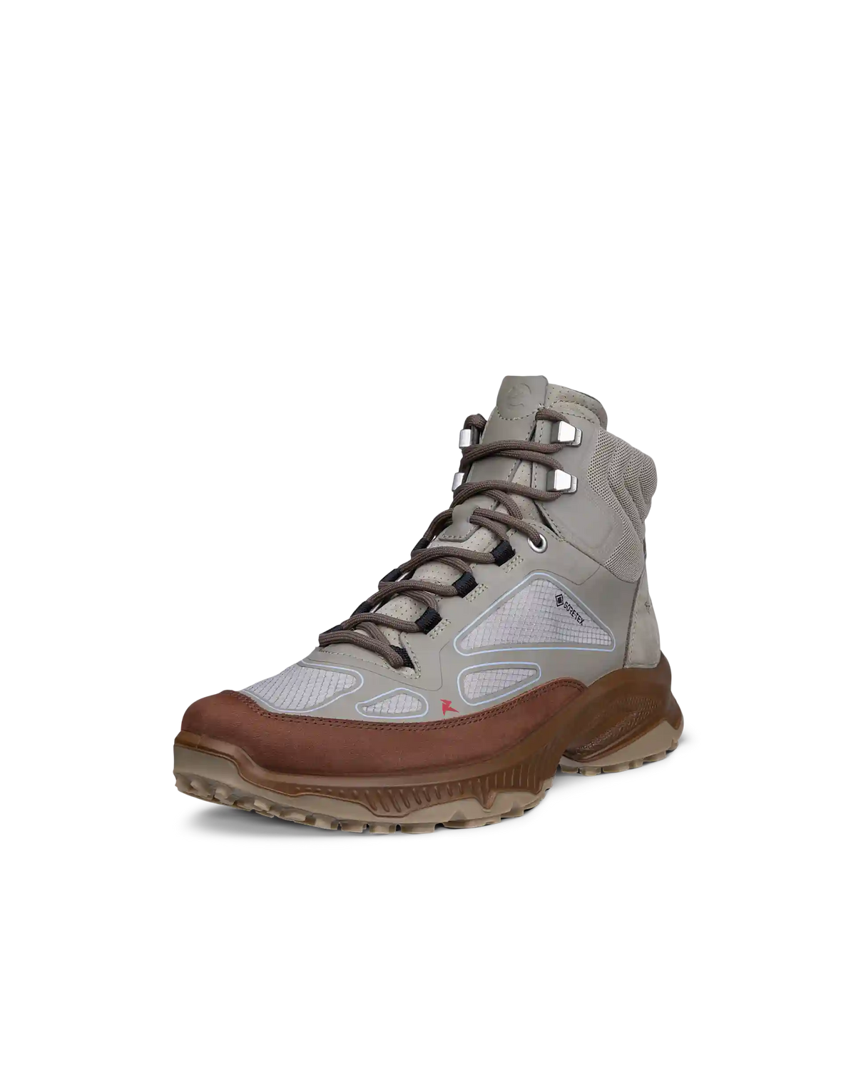 ECCO Receptor Xp