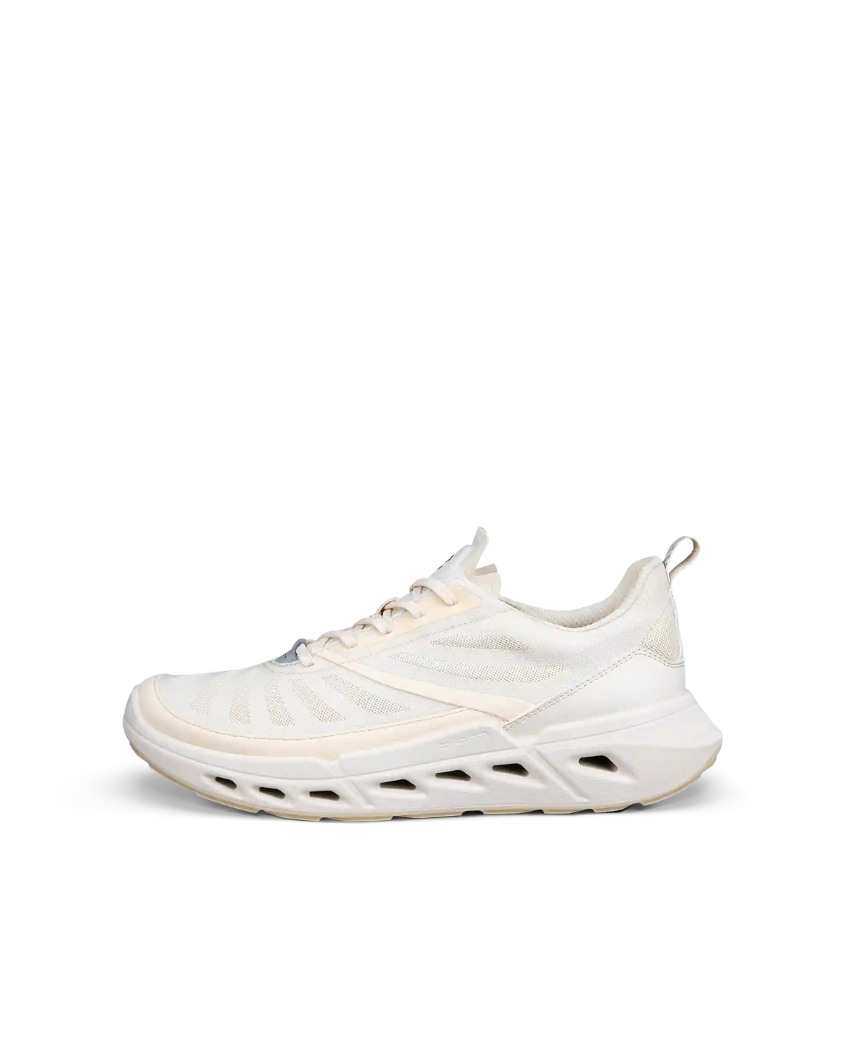 ECCO Biom 720