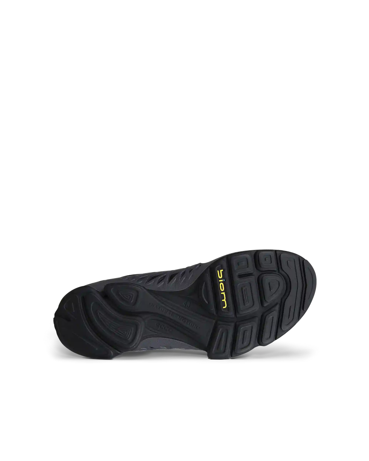 ECCO Biom Aex