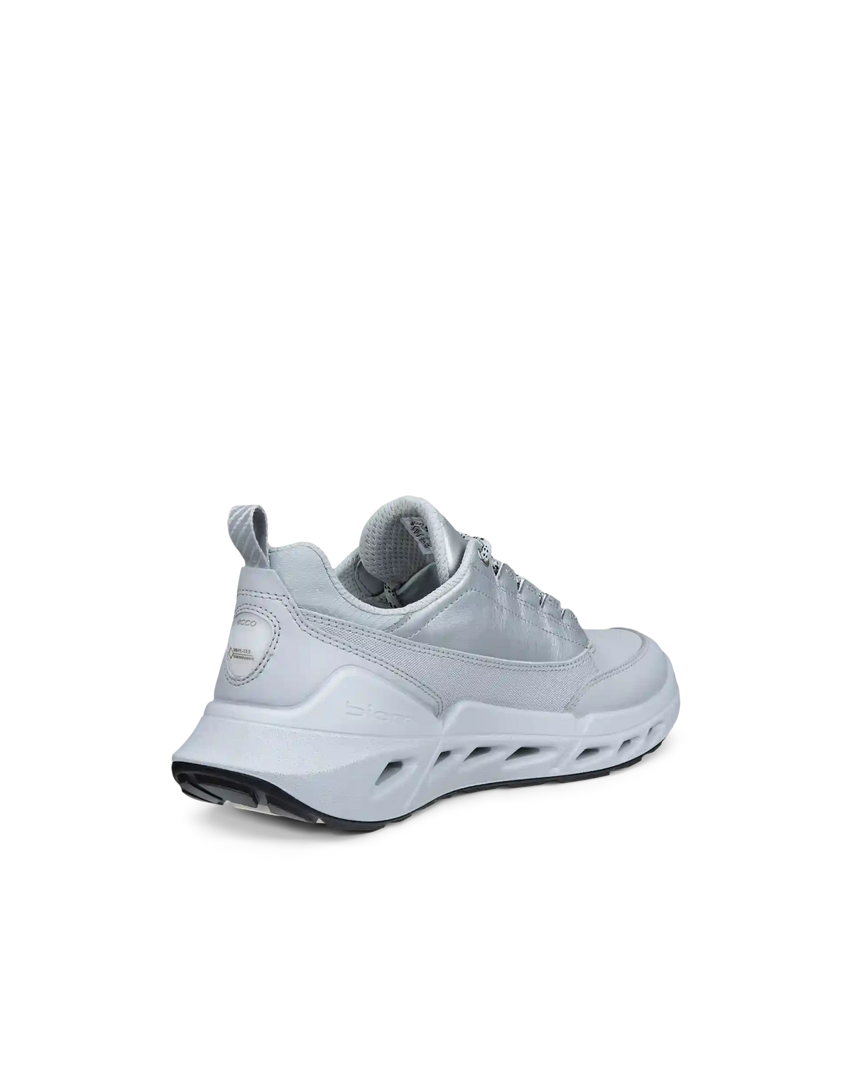 ECCO Biom 720 Gore-Tex