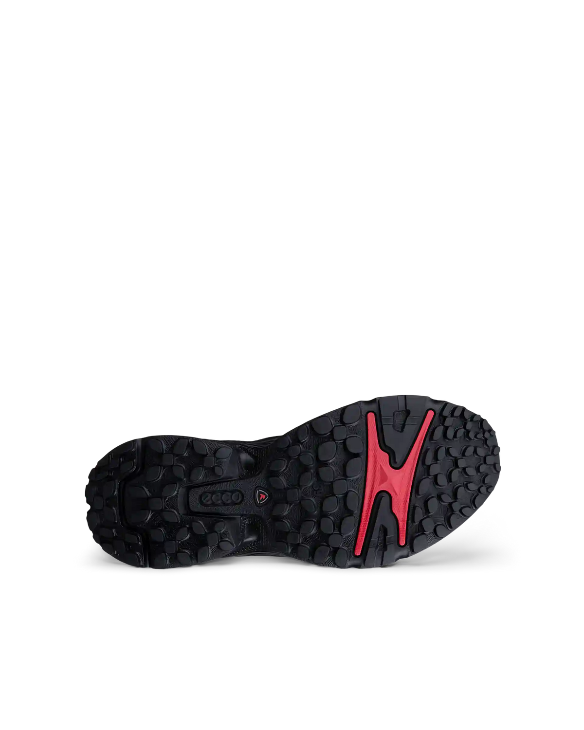 ECCO Receptor Xp