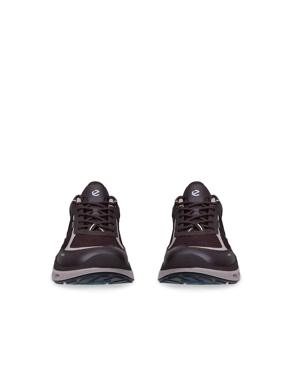 ECCO Biom 720 Gore-Tex