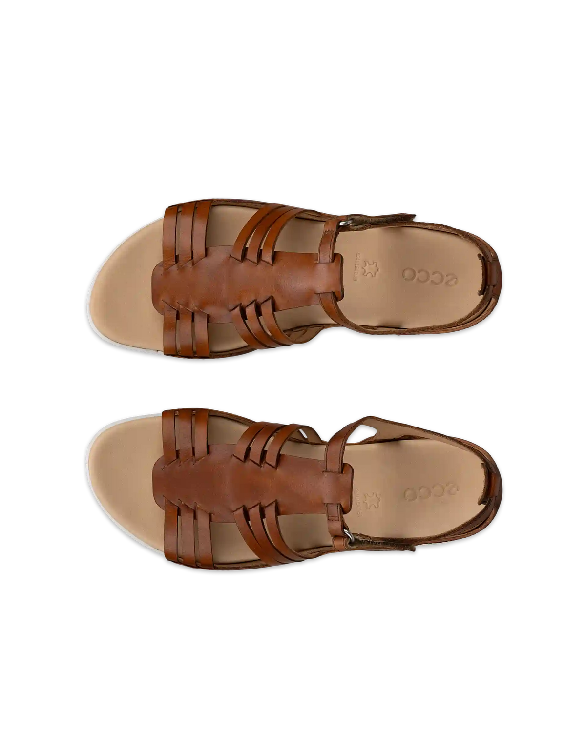 ECCO Flash