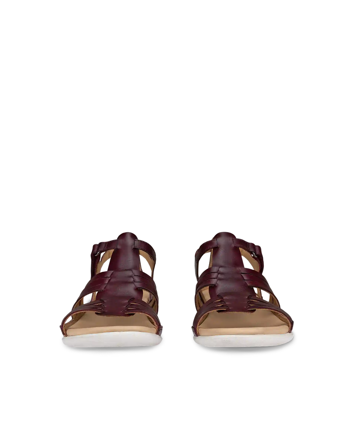 ECCO Flash