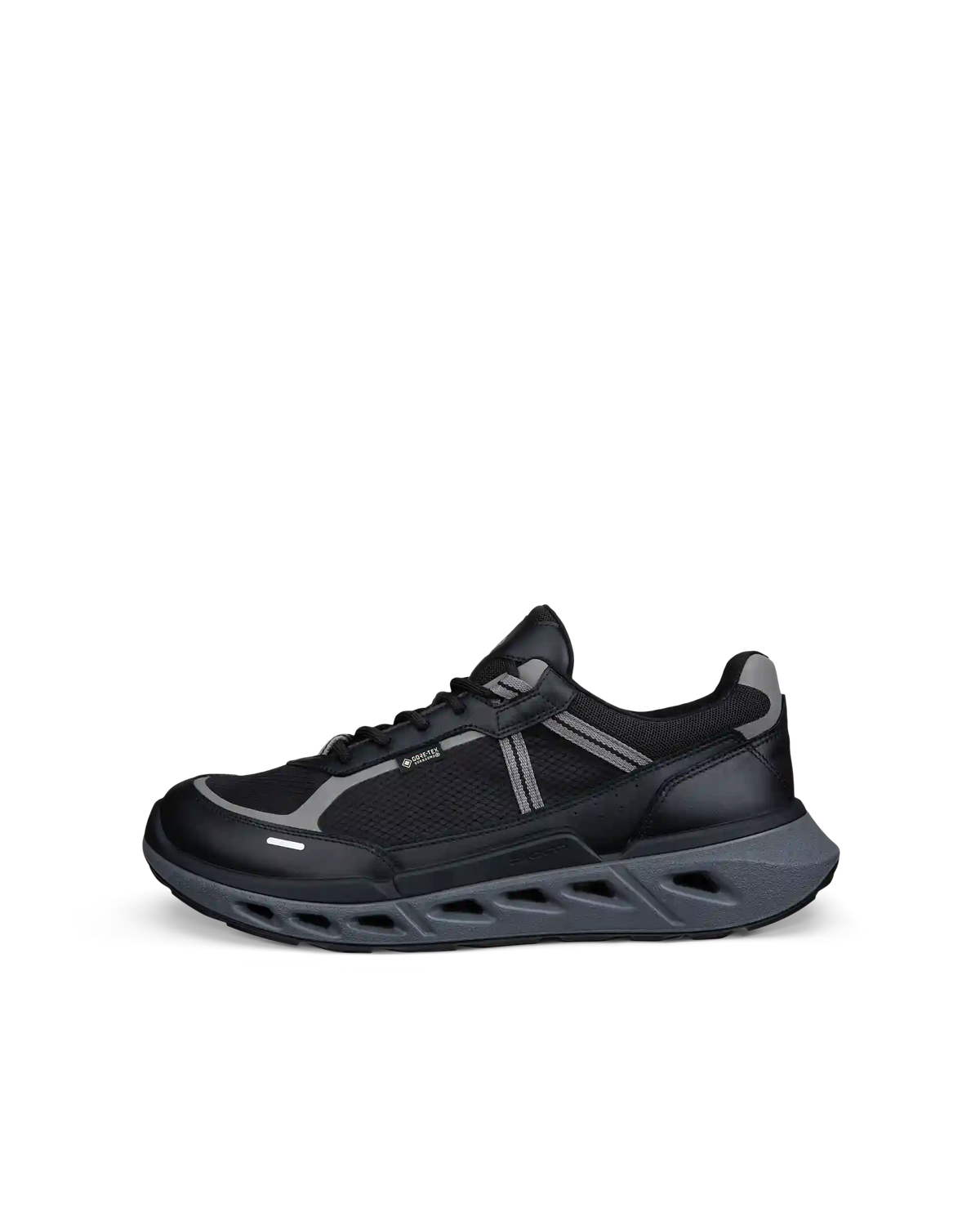 ECCO Biom 720 Gore-Tex