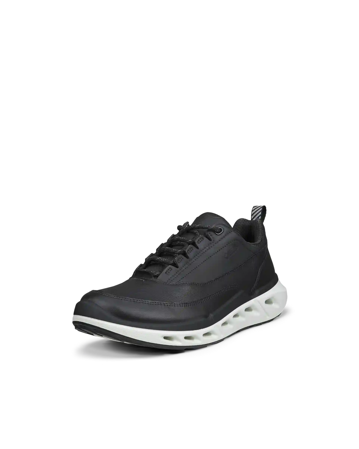 ECCO Biom 720 Gore-Tex