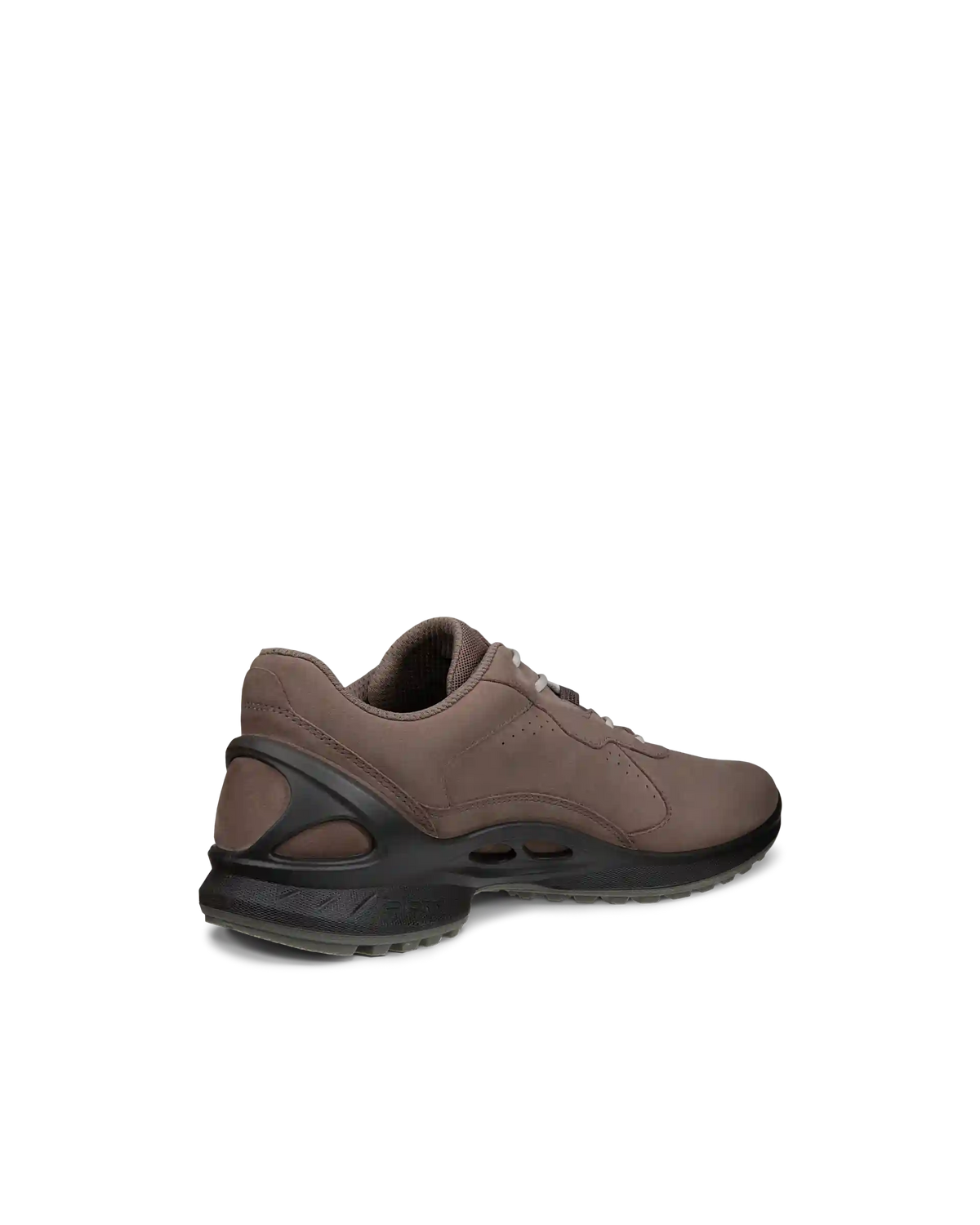 ECCO Biom Energi