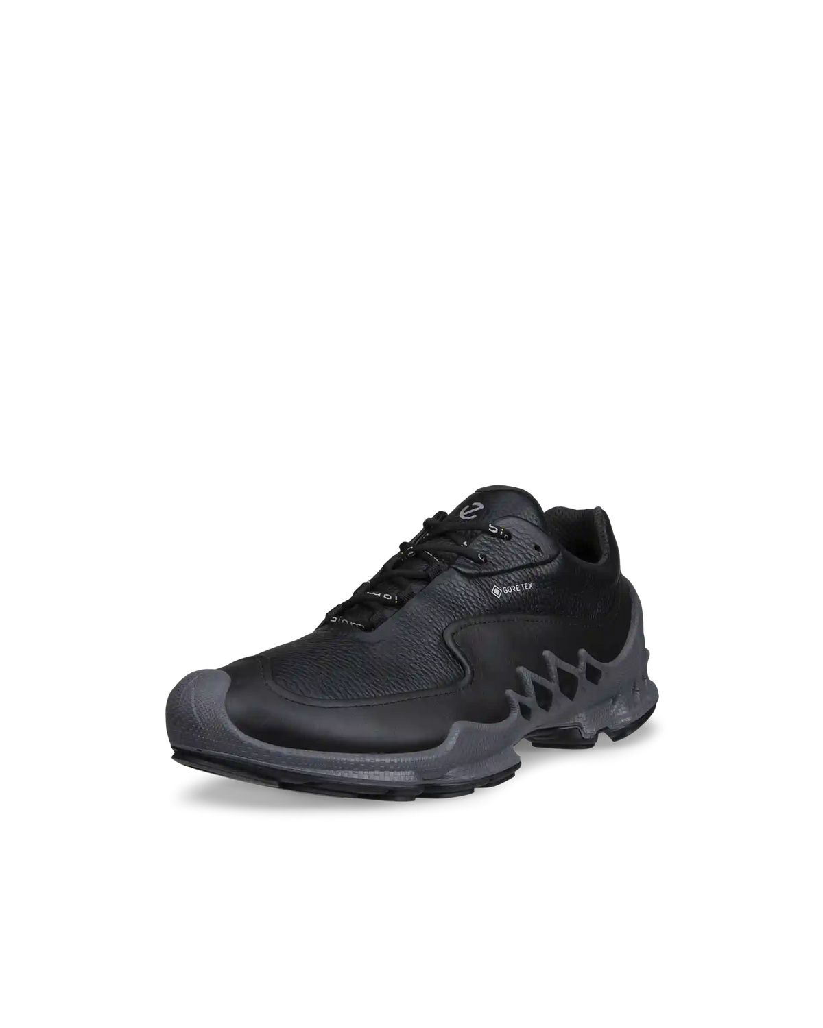 ECCO Biom Aex
