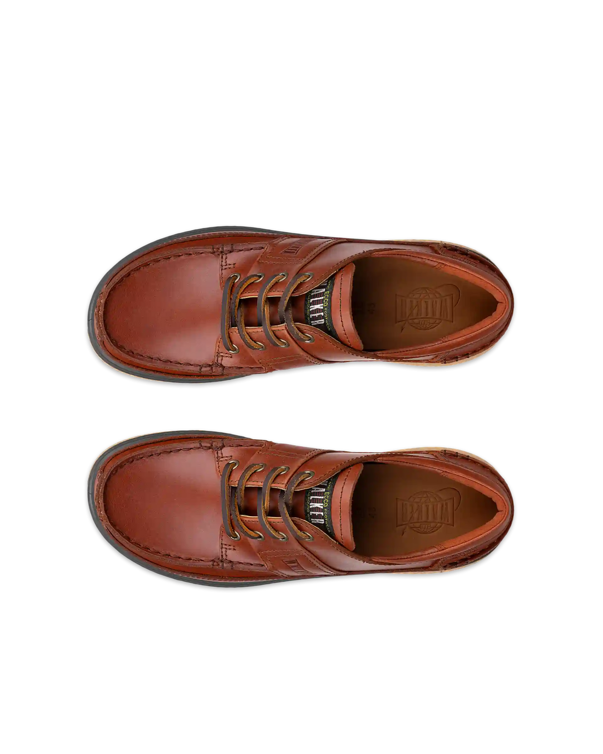 ECCO Walker 3.0