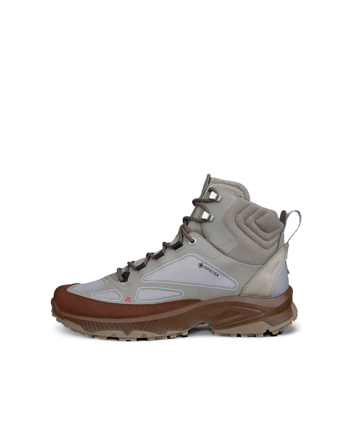 ECCO Receptor Xp