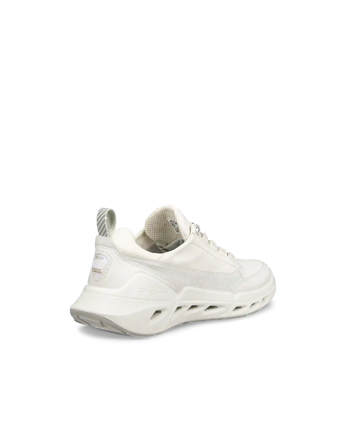 ECCO Biom 720 Gore-Tex