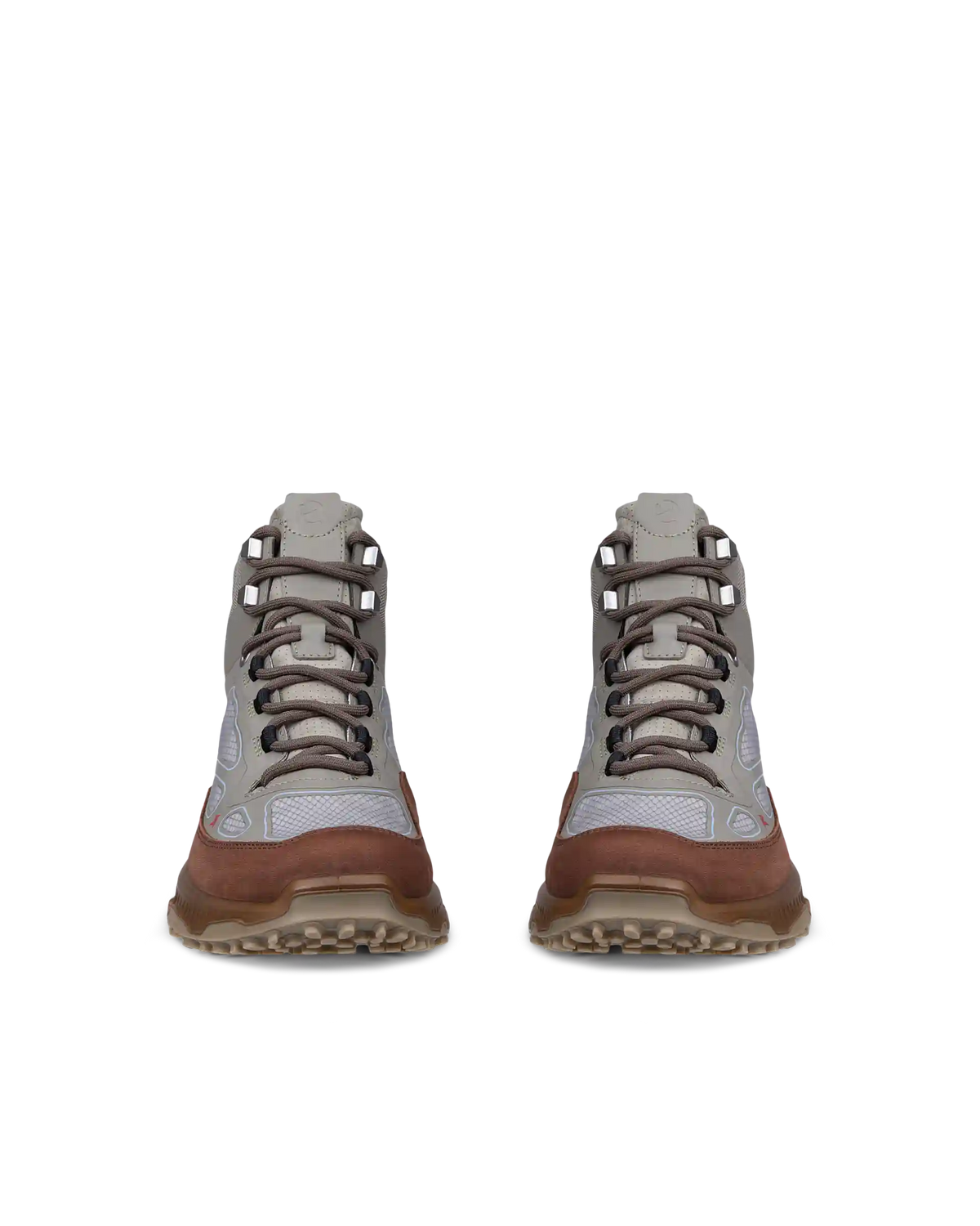 ECCO Receptor Xp