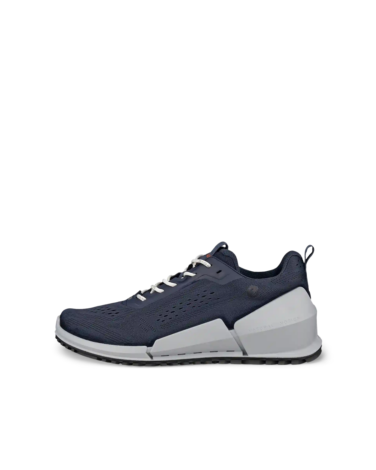 ECCO Biom 2.0