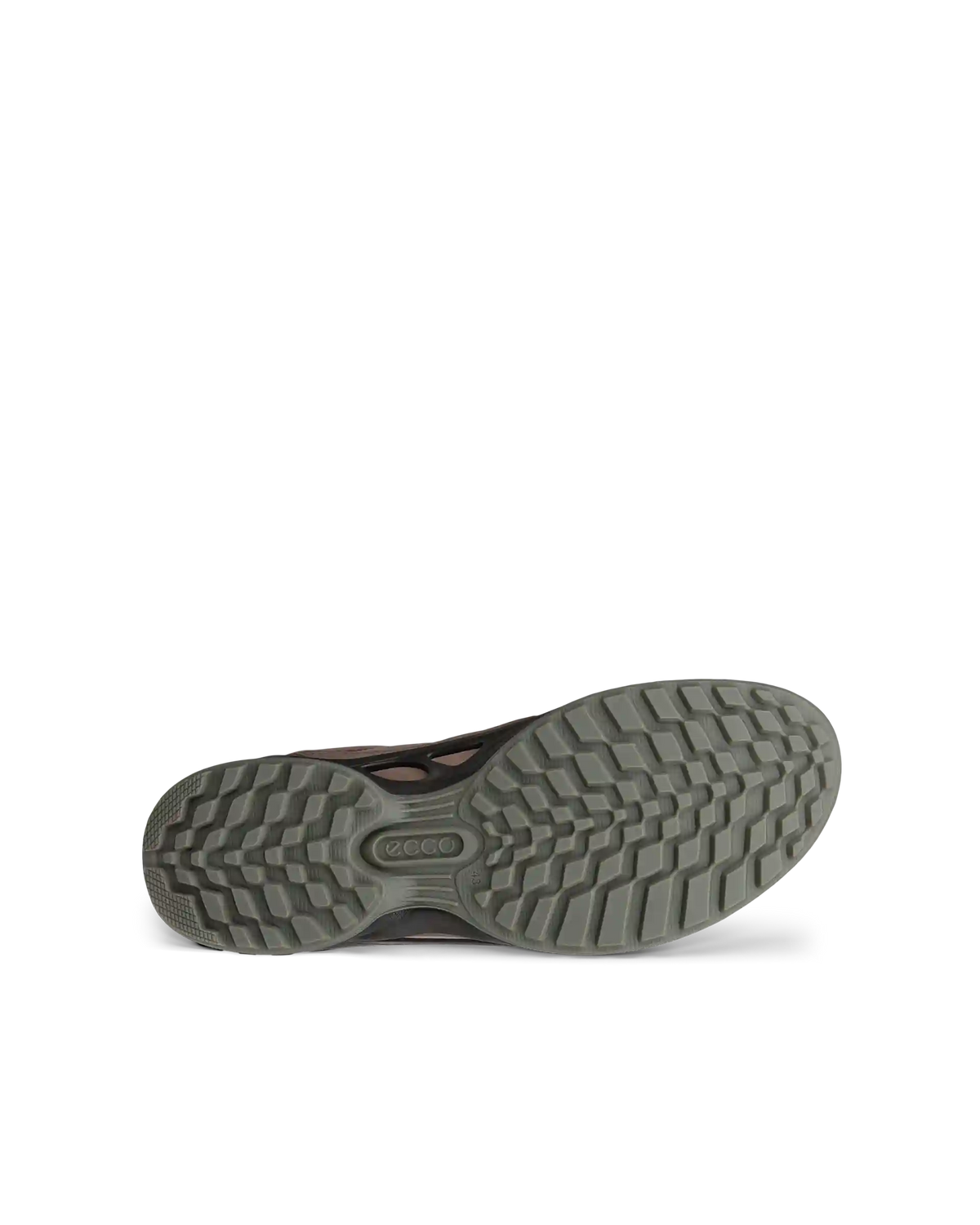 ECCO Biom Energi