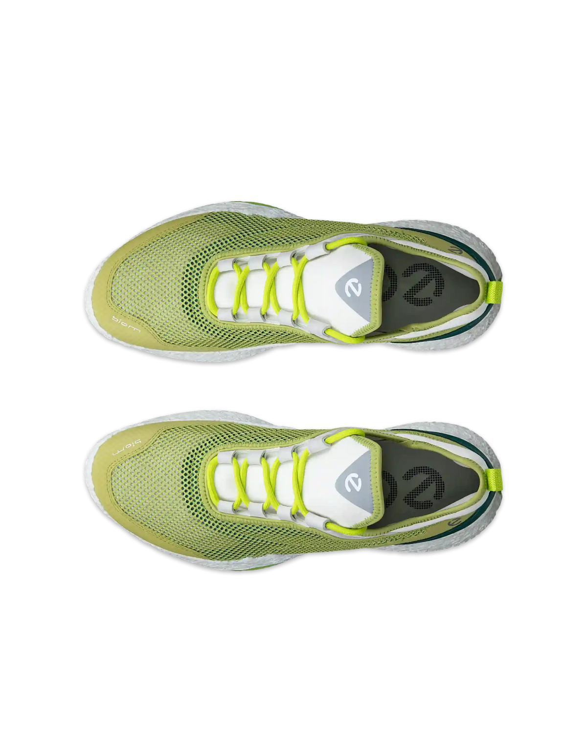ECCO Golf Biom H5