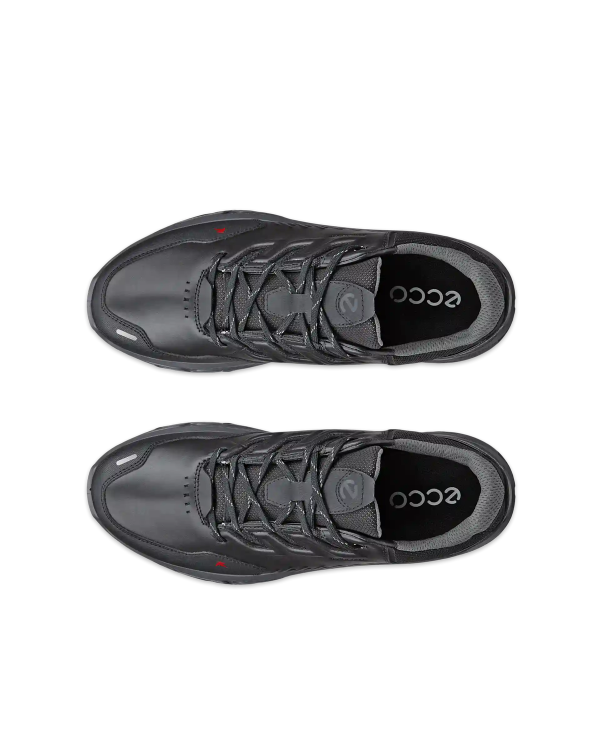 ECCO Receptor XP