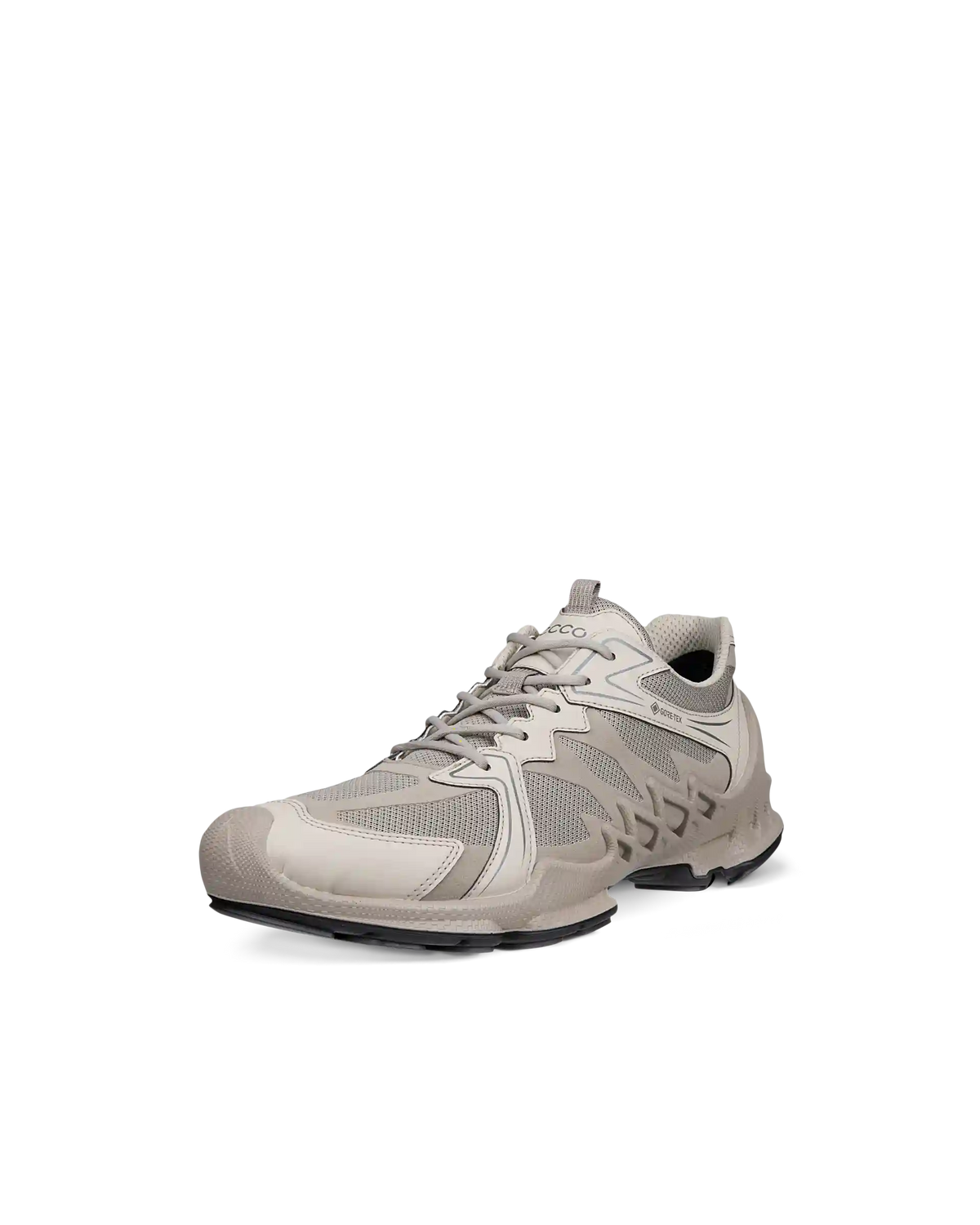 ECCO Biom Aex