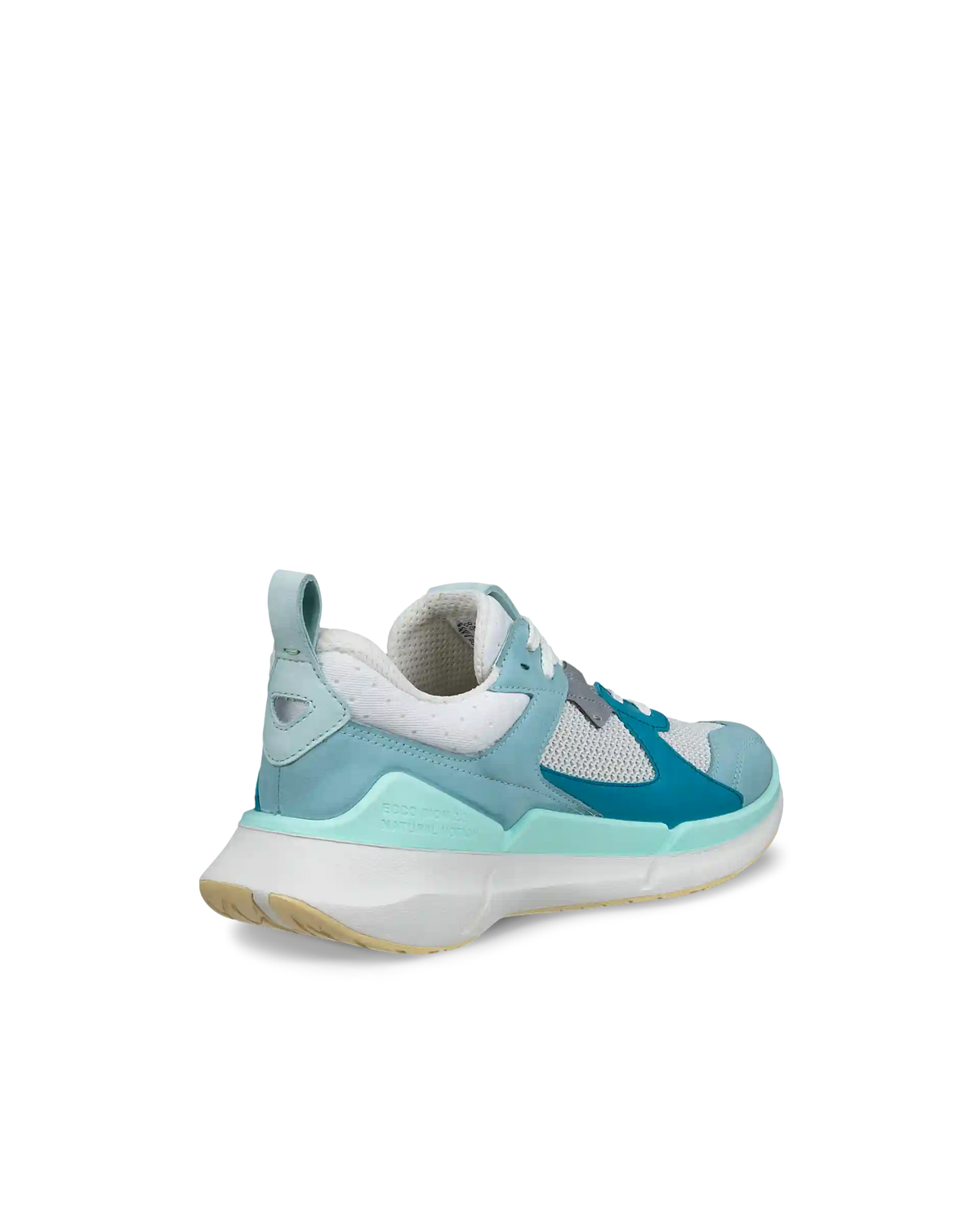 ECCO Biom 2.2