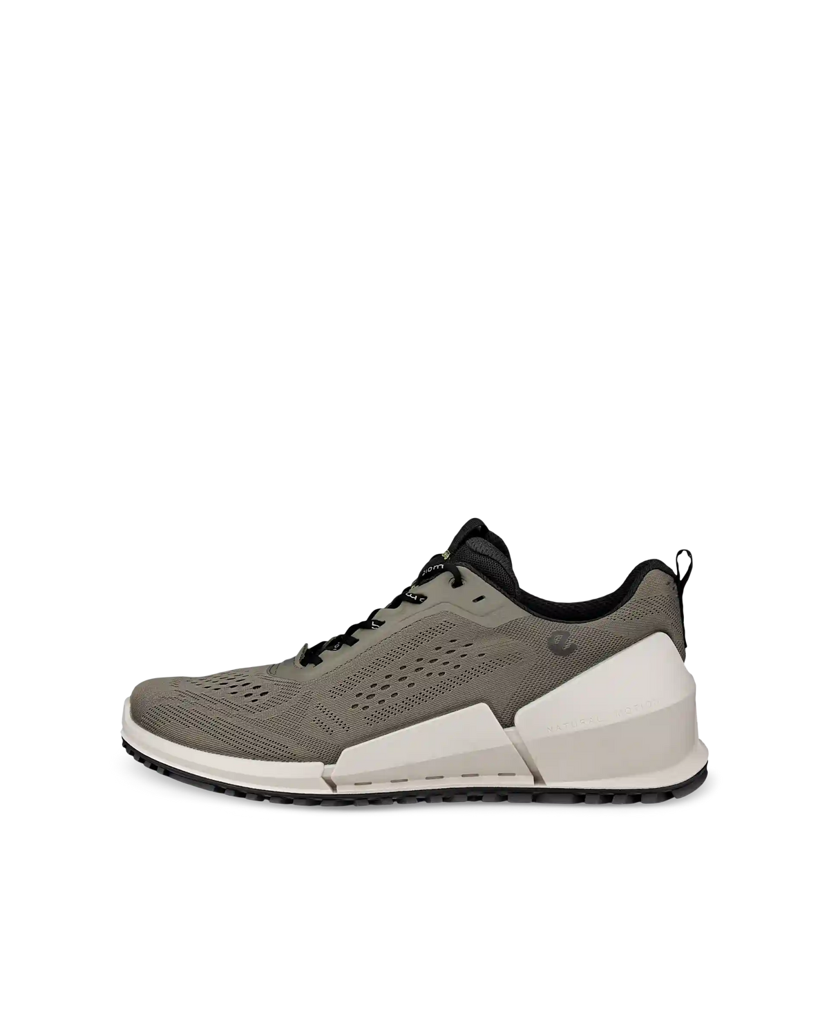 ECCO Biom 2.0