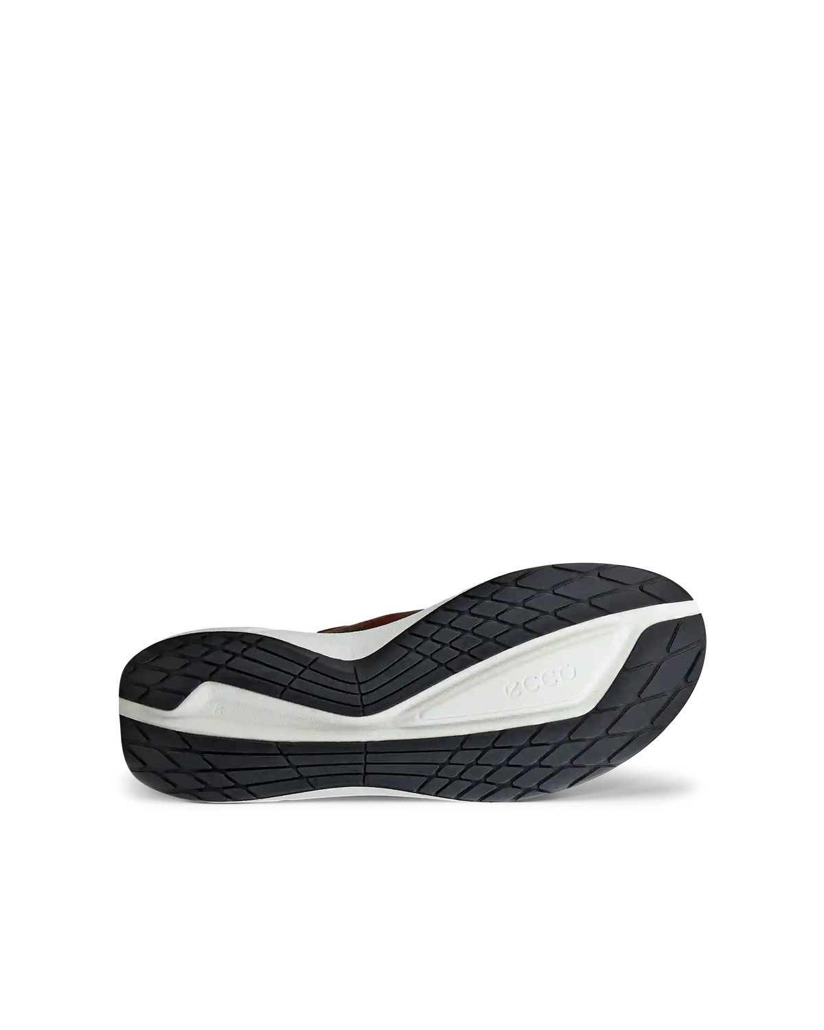 ECCO Biom 2.2