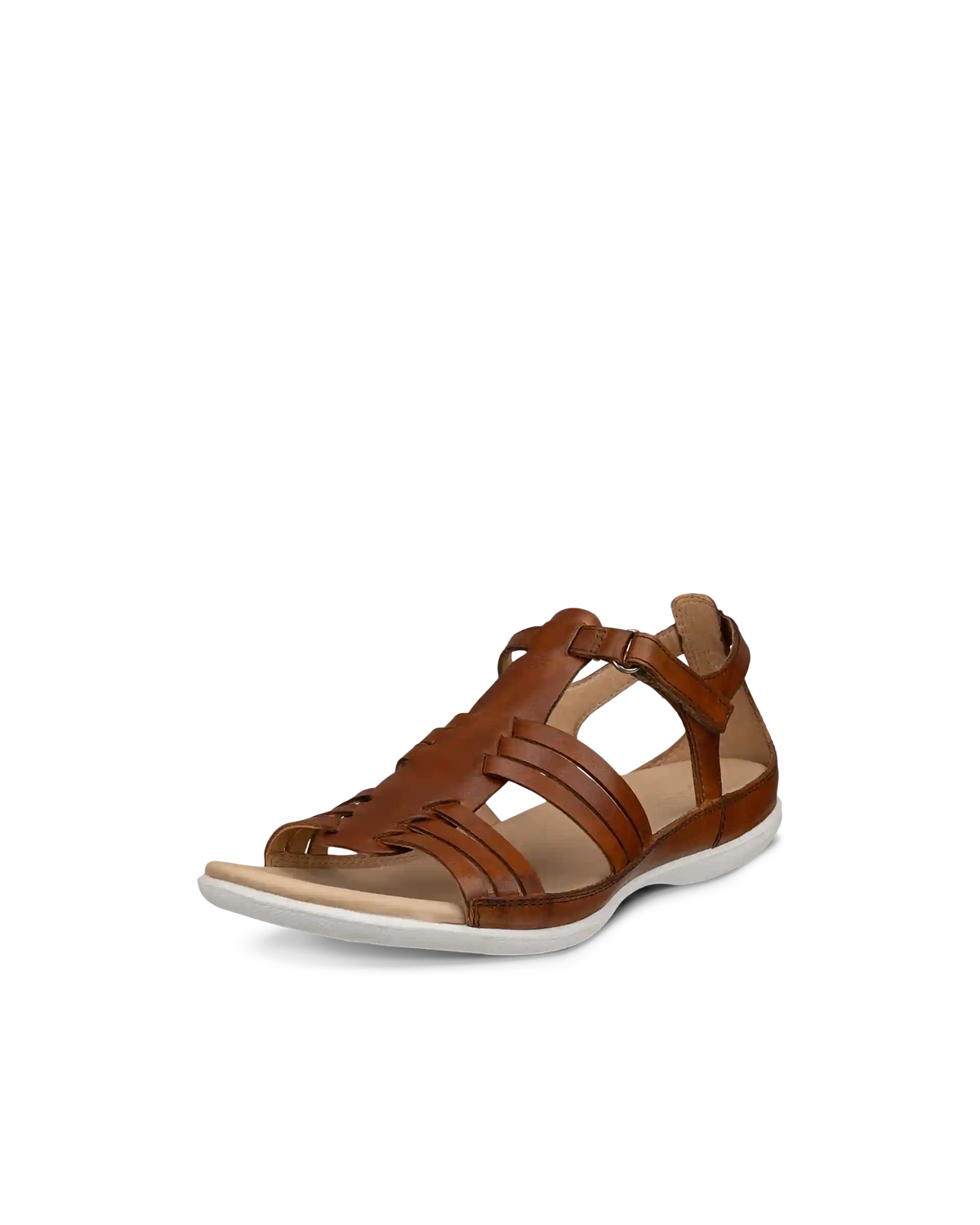 ECCO Flash