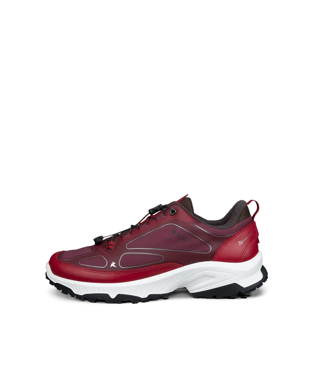 ECCO Receptor XP