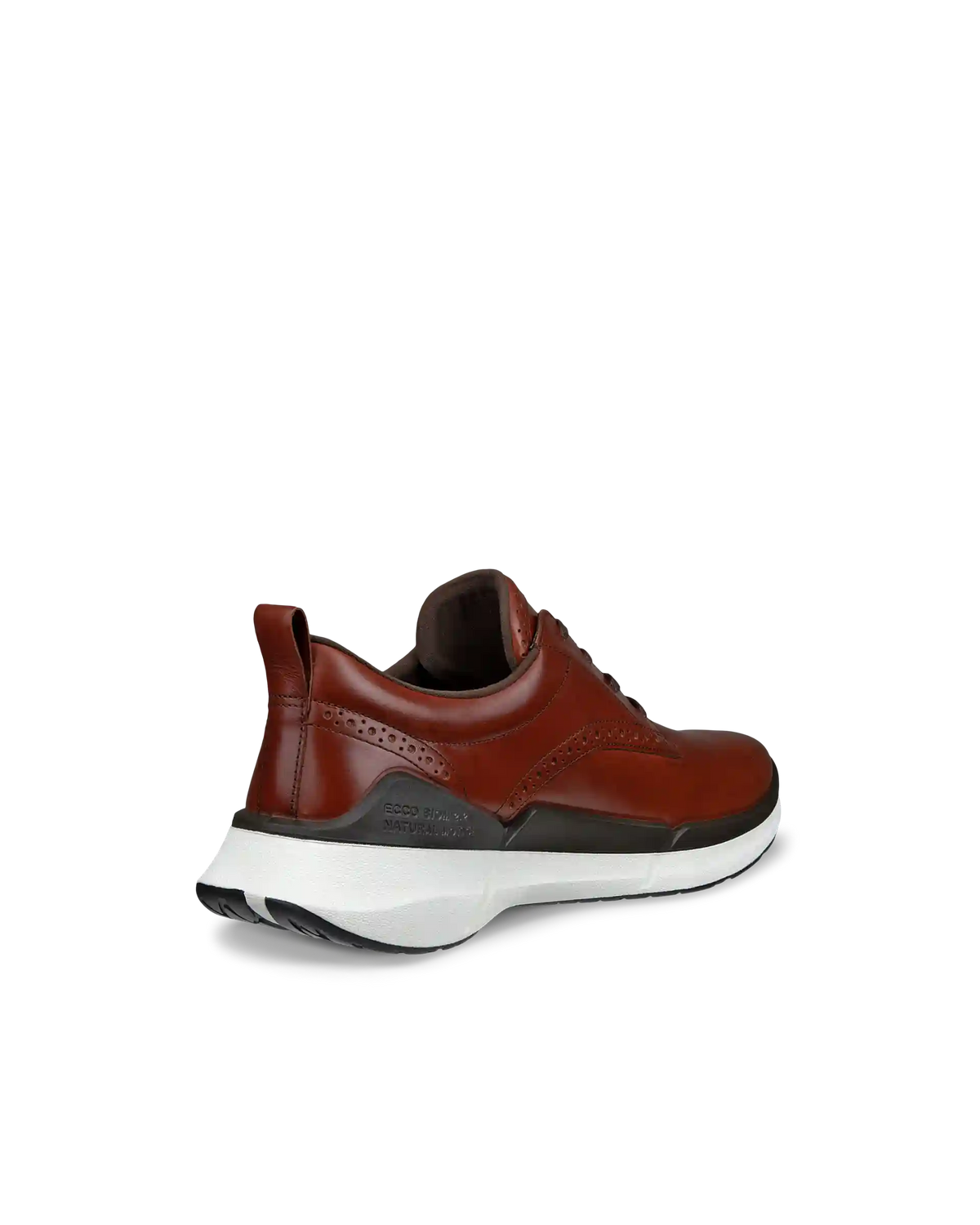 ECCO Biom 2.2