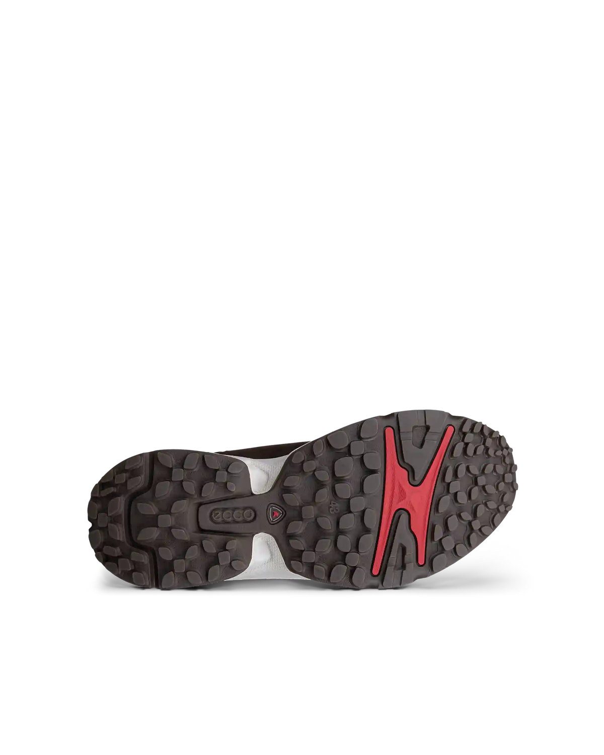ECCO Receptor XP