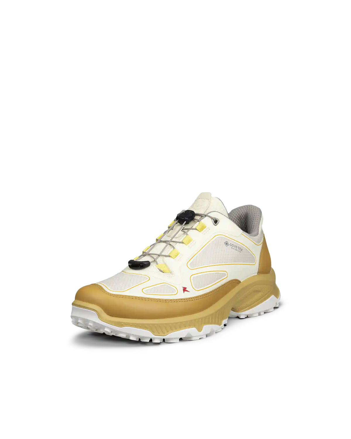 ECCO Receptor Xp