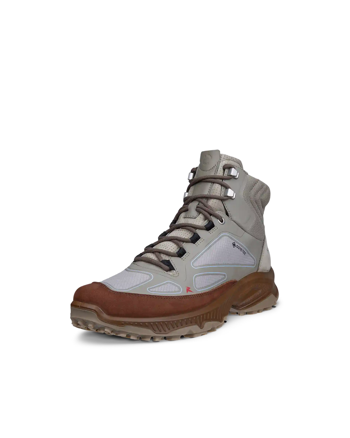 ECCO Receptor Xp