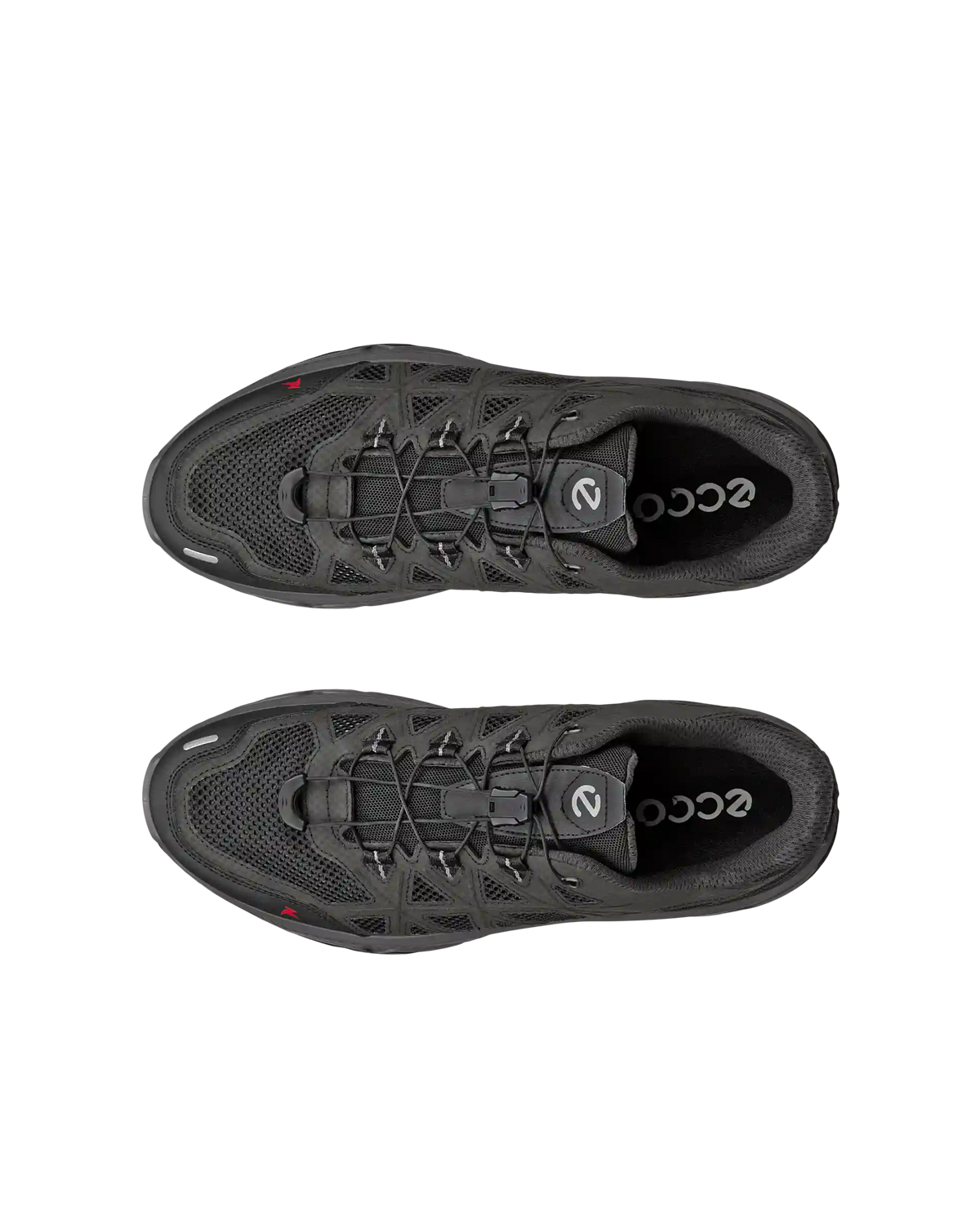ECCO Receptor XP