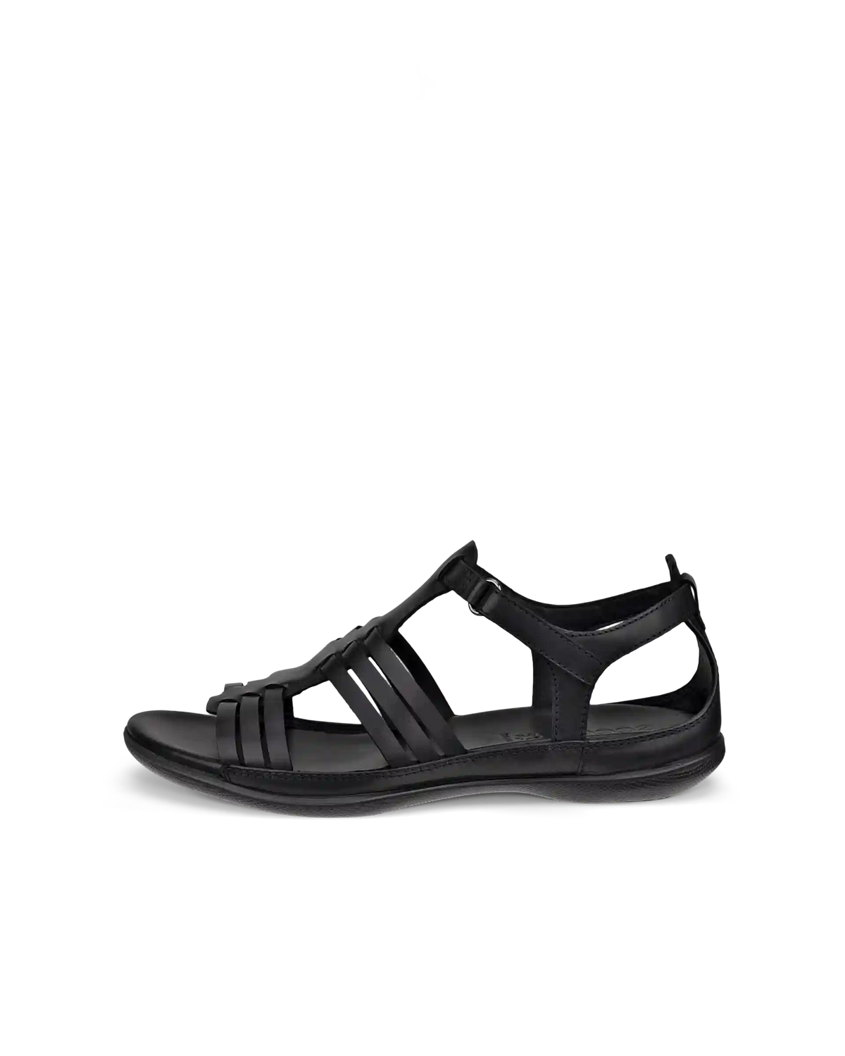 ECCO Flash