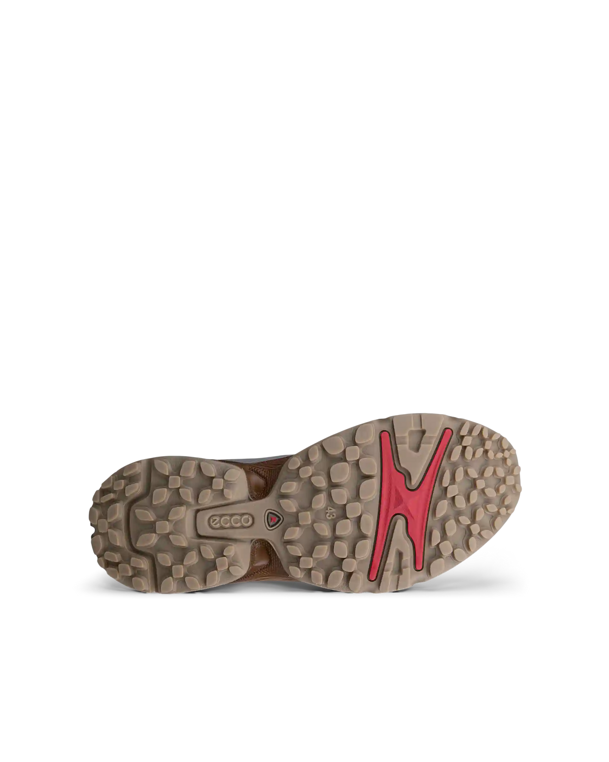 ECCO Receptor Xp