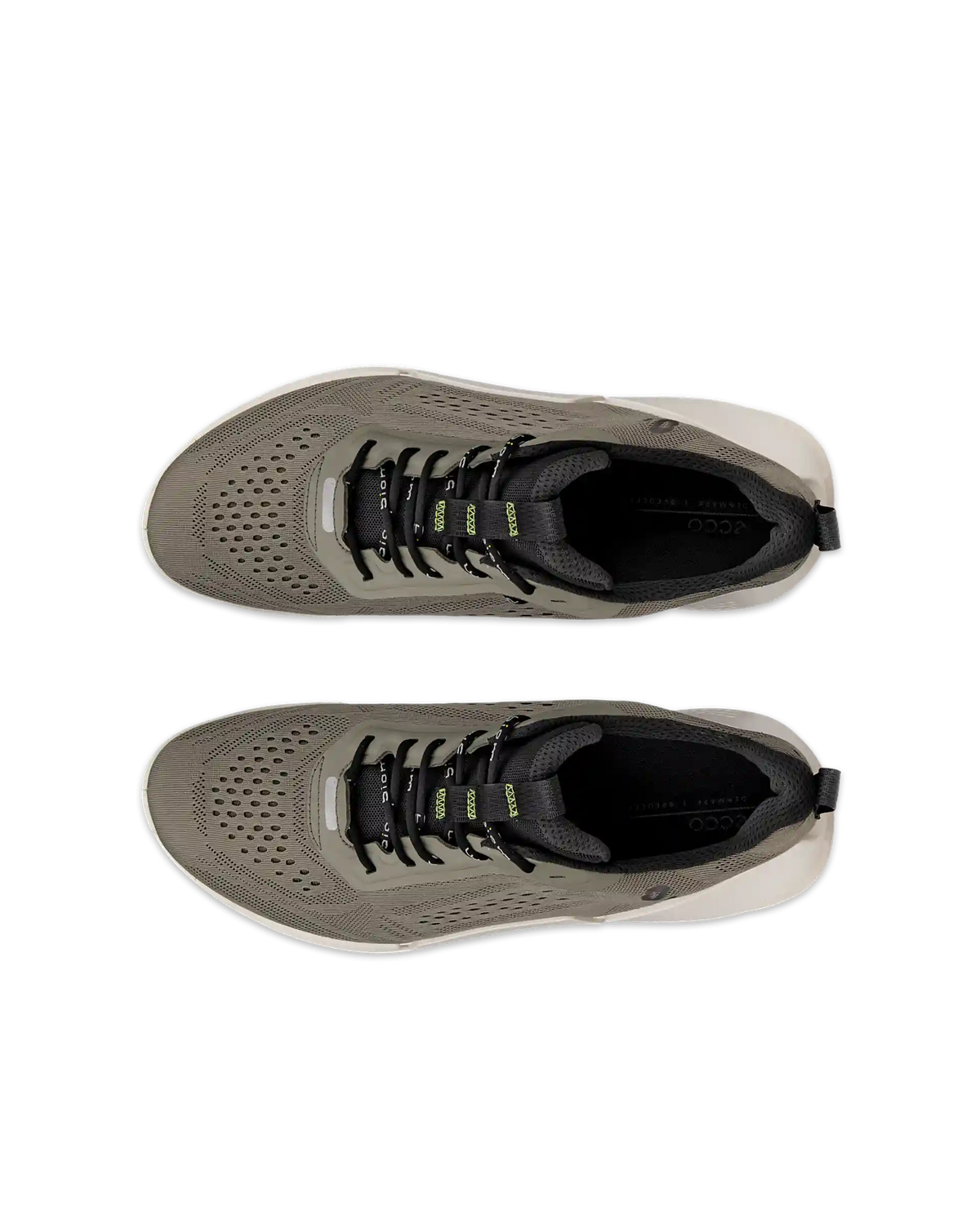 ECCO Biom 2.0