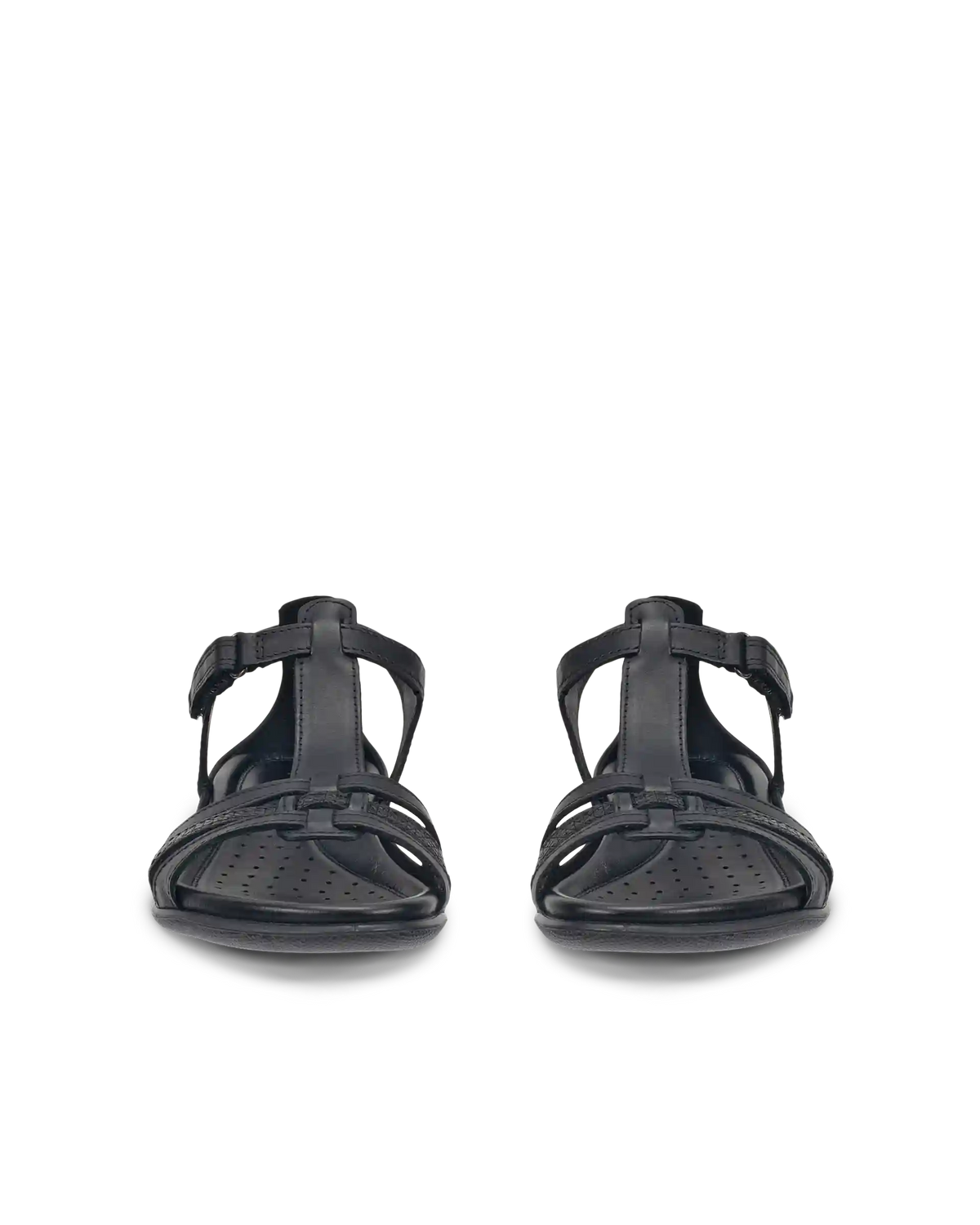 ECCO Flash