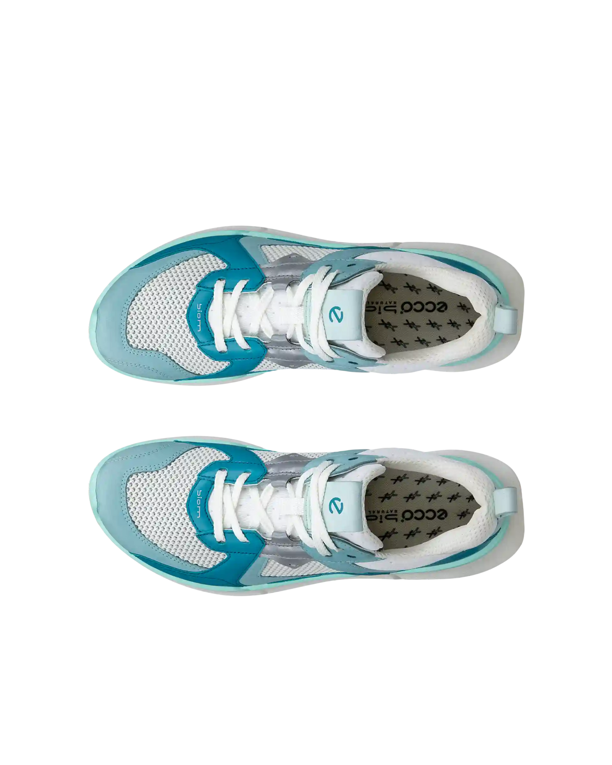 ECCO Biom 2.2