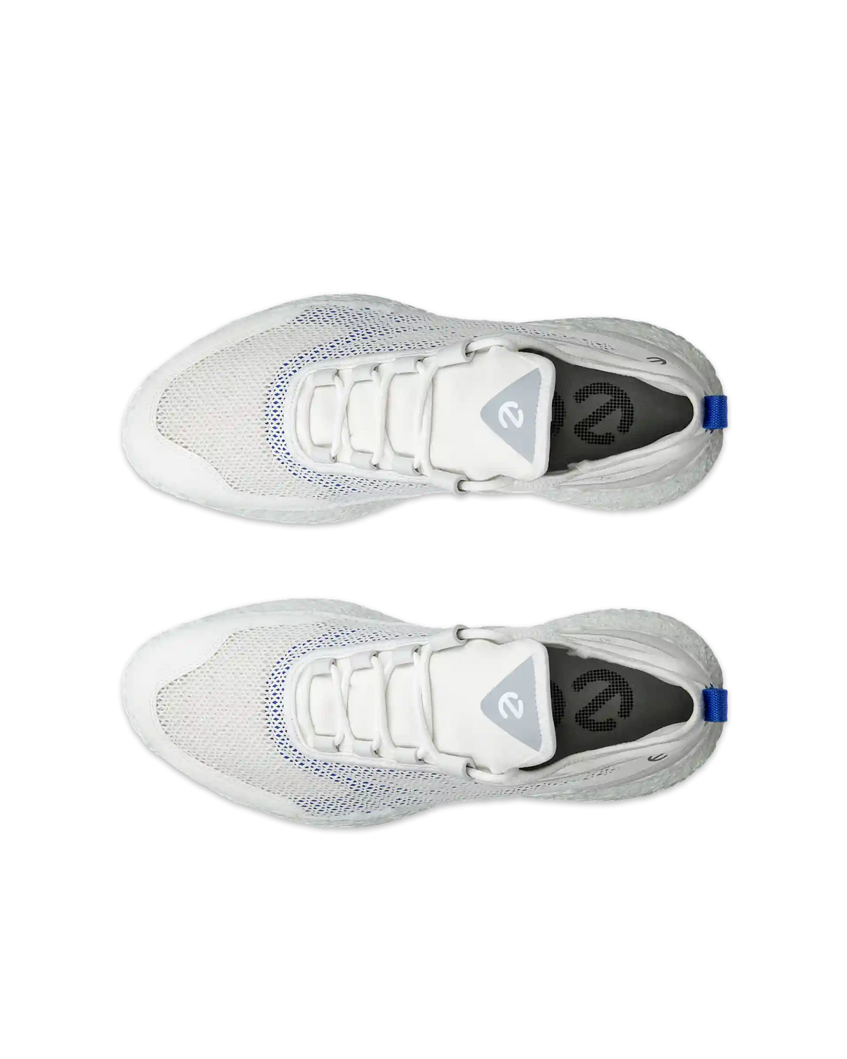 ECCO Golf Biom H5