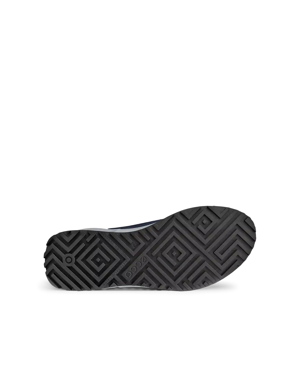 ECCO Biom 2.0