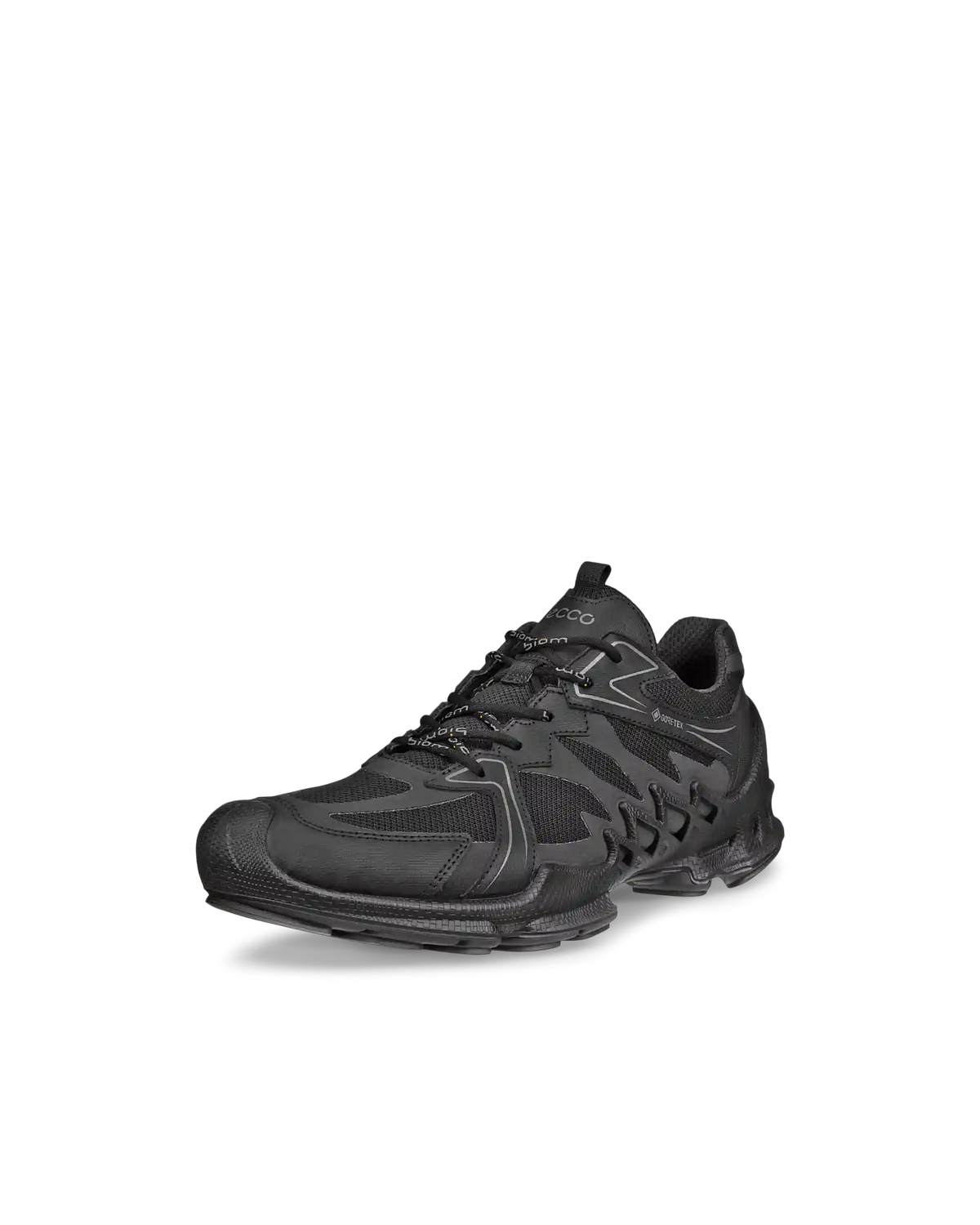 ECCO Biom Aex