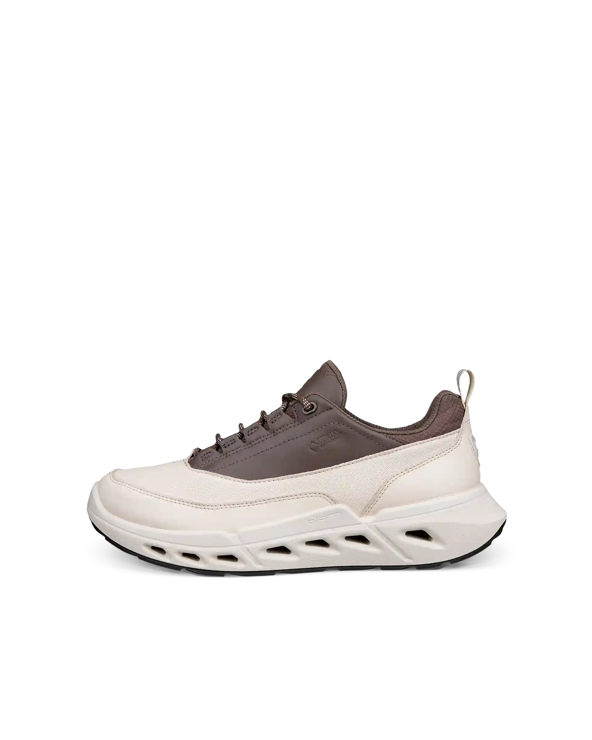 ECCO Biom 720 Gore-Tex