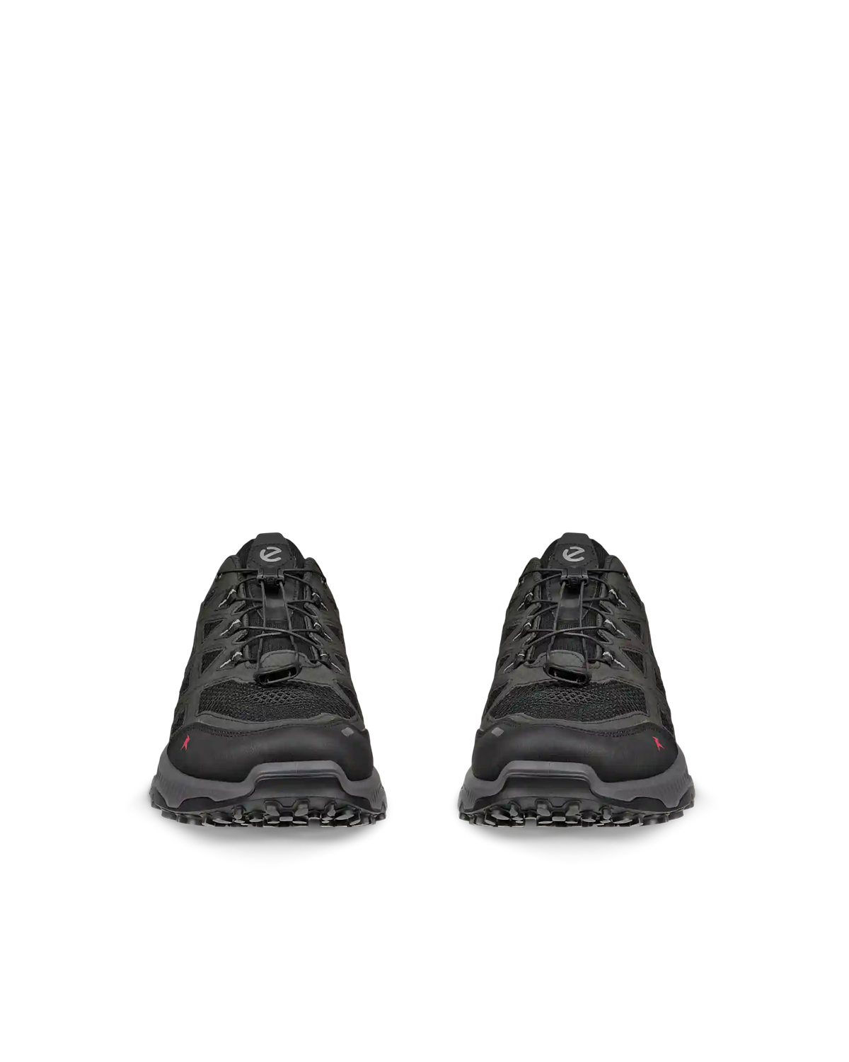 ECCO Receptor XP