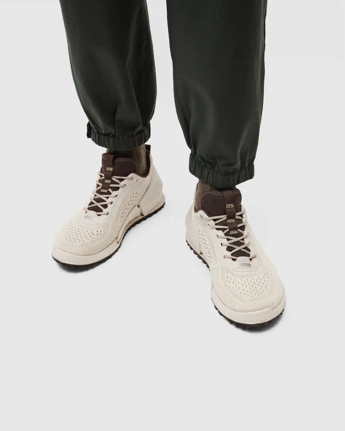 ECCO Biom 2.0