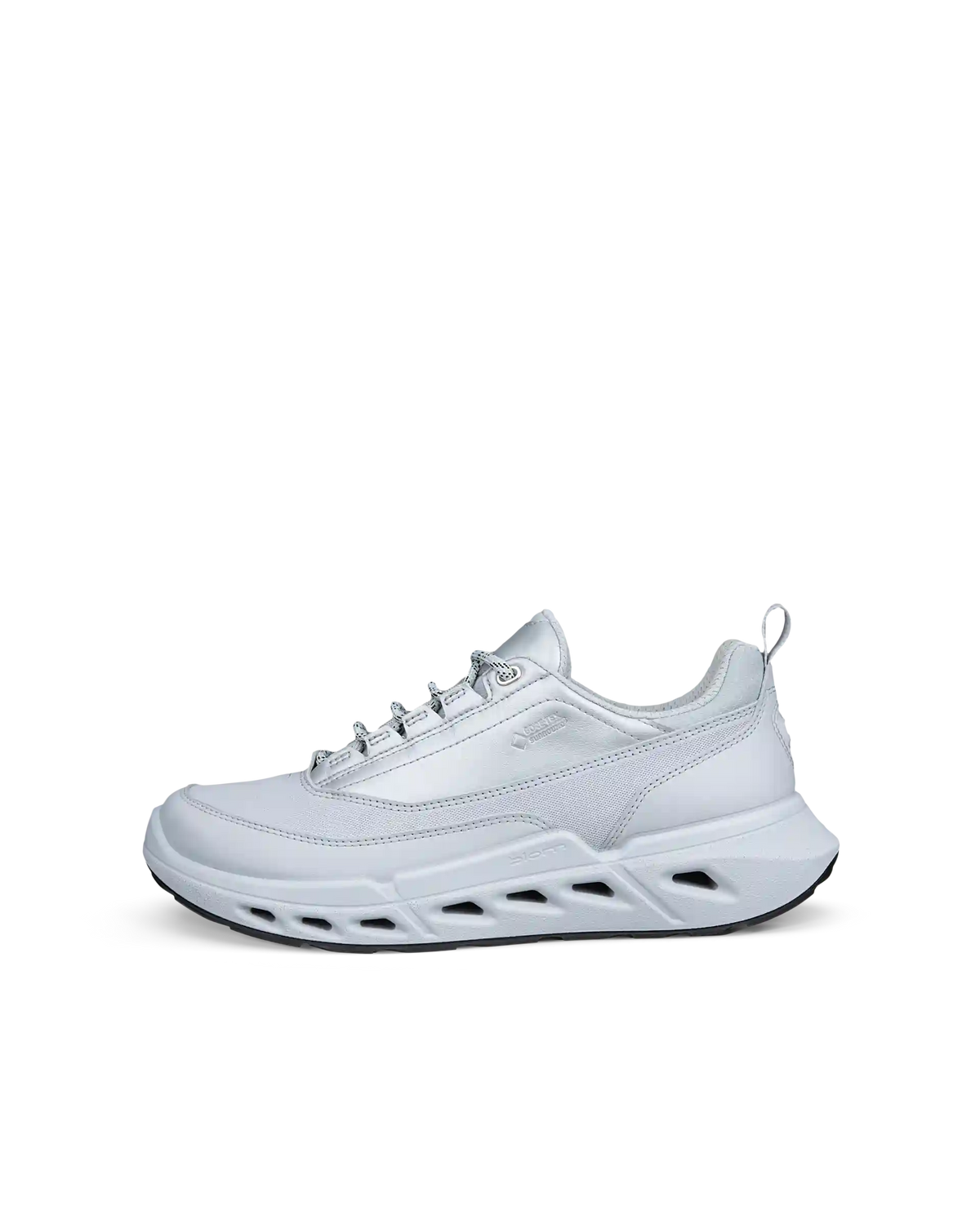 ECCO Biom 720 Gore-Tex