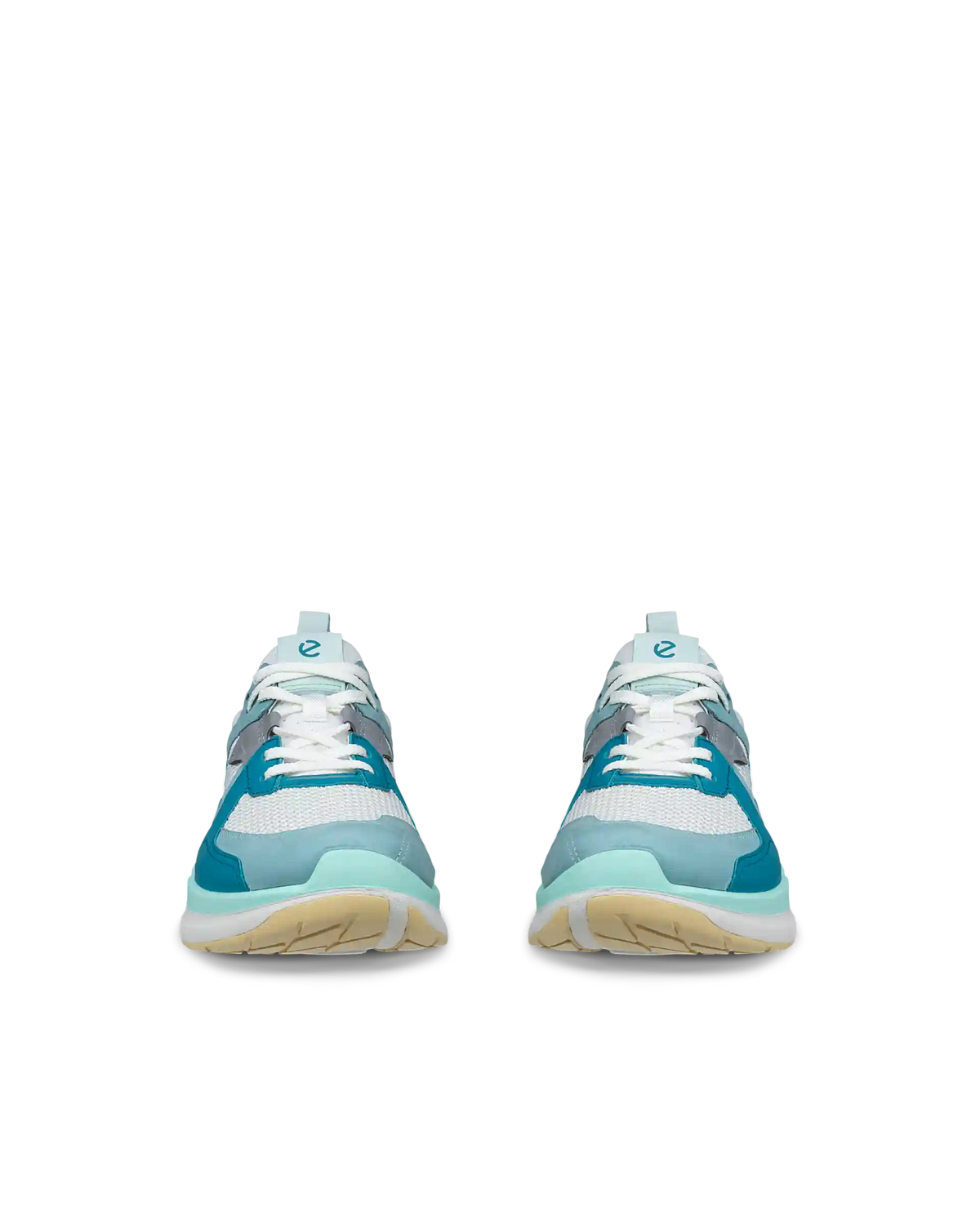 ECCO Biom 2.2