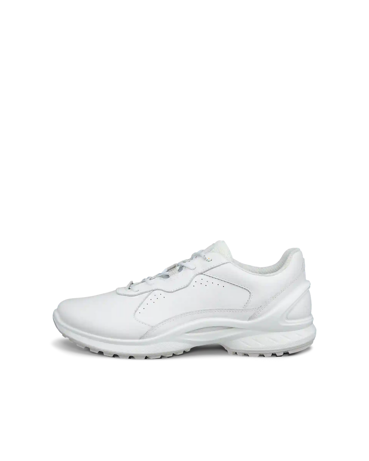 ECCO Biom Energi