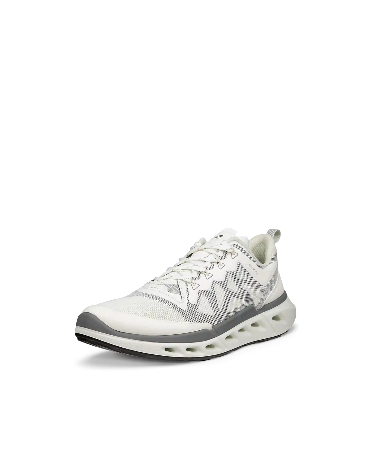 ECCO Biom 720 Breathru