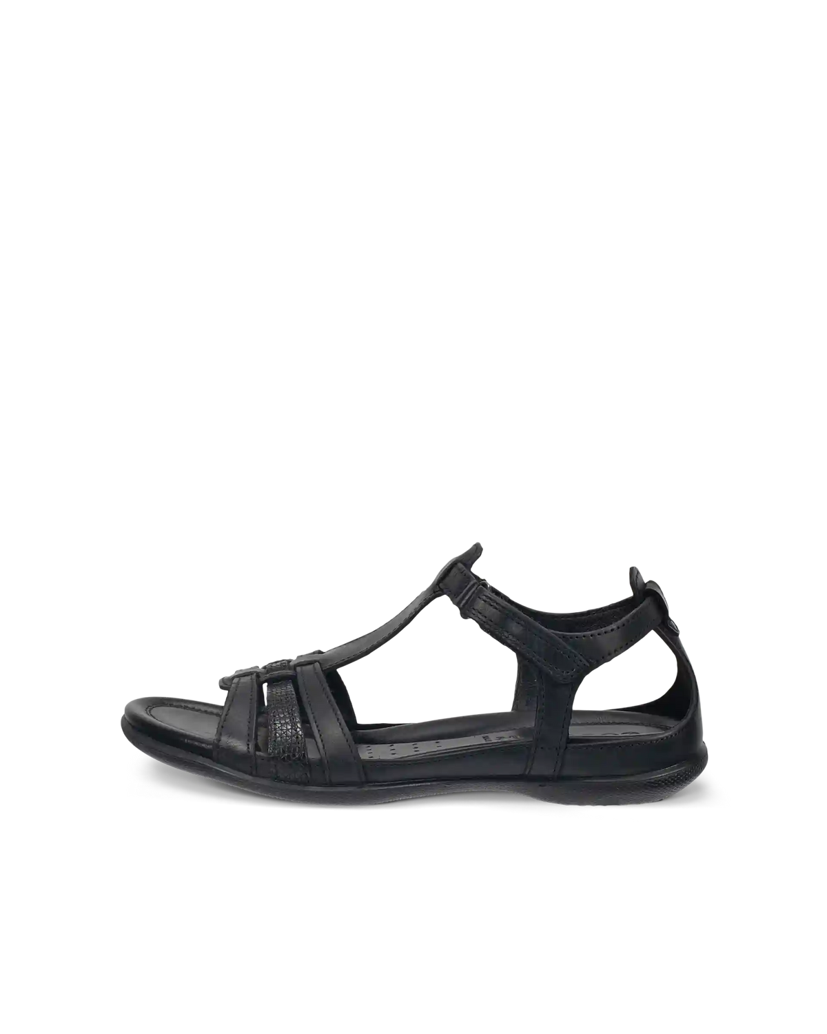 ECCO Flash