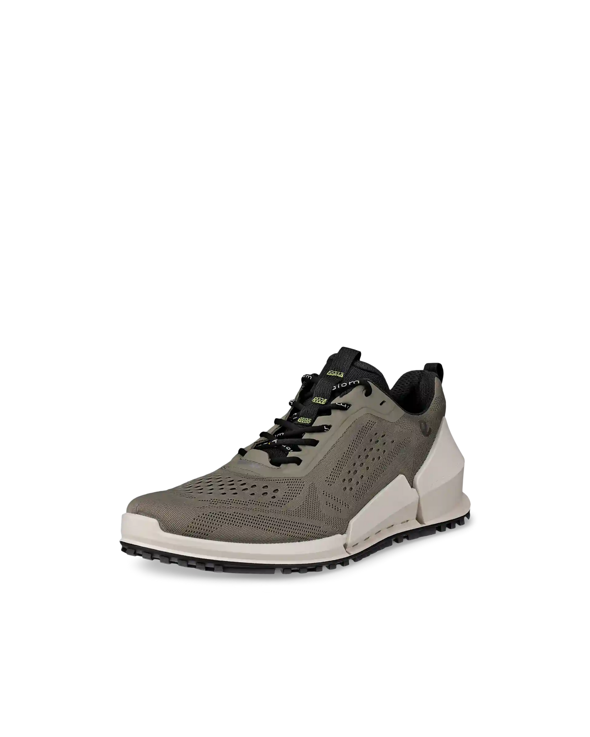 ECCO Biom 2.0