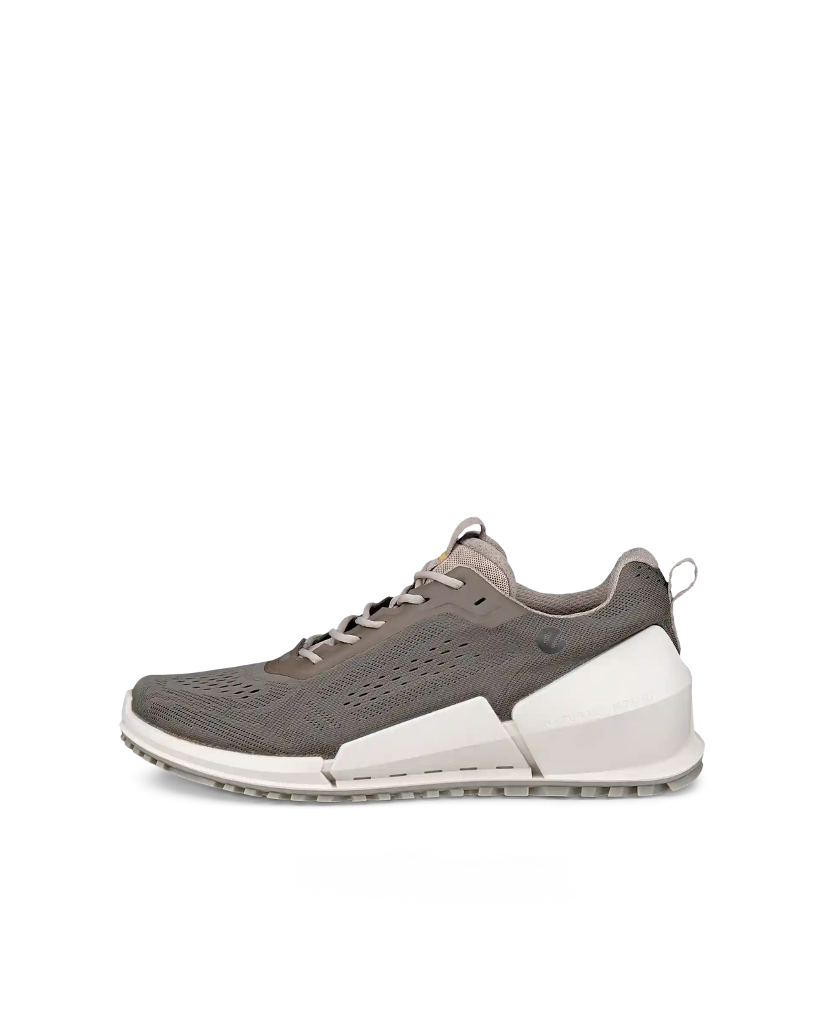 ECCO Biom 2.0