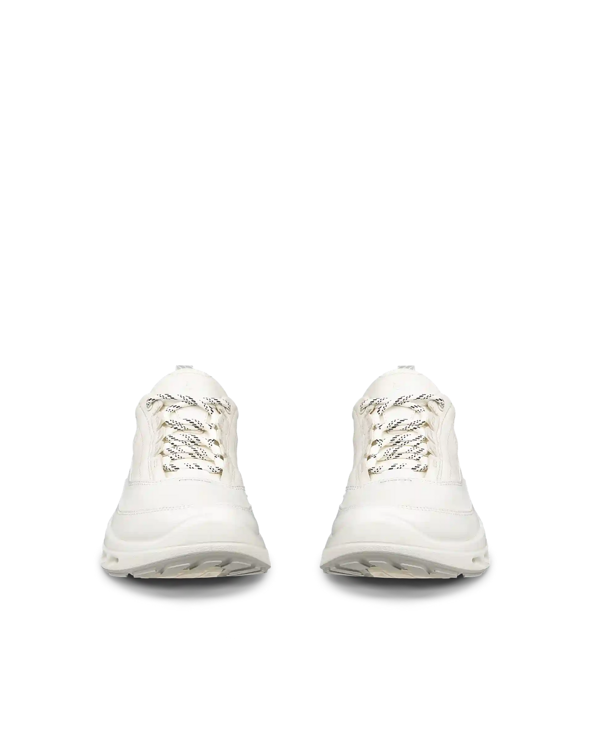 ECCO Biom 720 Gore-Tex